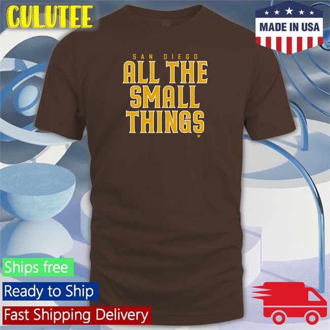 All The Small Things Hoodie San Diego All The Small Things V Neck T Shirt Breakingt Merch