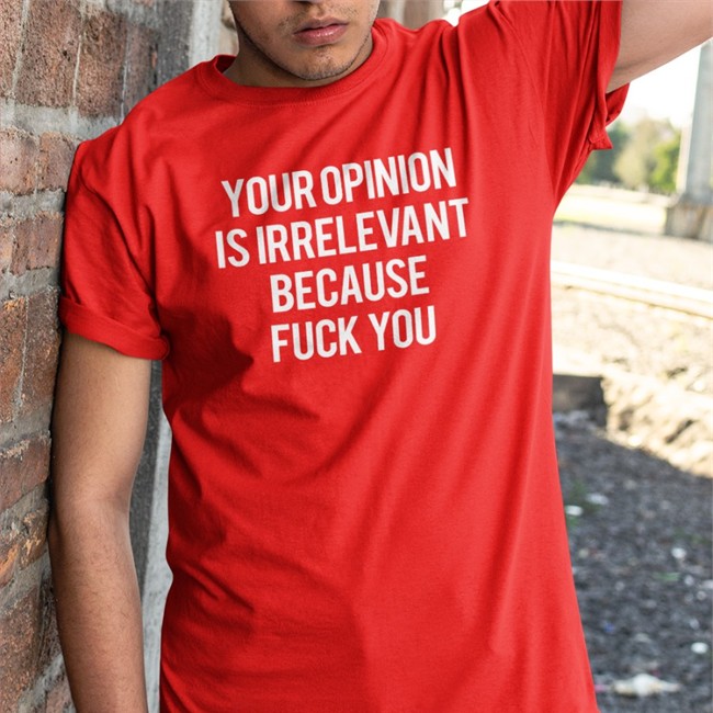 Your Opinion Is Irrelevant Because Fuck You V Neck T Shirt Shirts That Go Hard Merch
