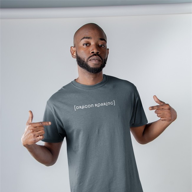 Feits Barstool Dragon Roaring Shirt