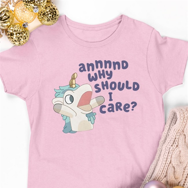 Annnnd Why Should I Care Hoodie Annnnd Why Should I Care Shirts