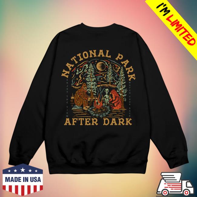 Fanjoy Merch National Park After Dark Npad Cryptid Campfire Black Bear Hoodies