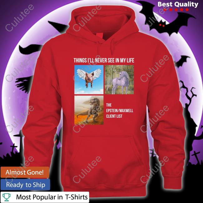 Official Things I'll Never See In My Life The Epstein Maxwell Client List T Shirt