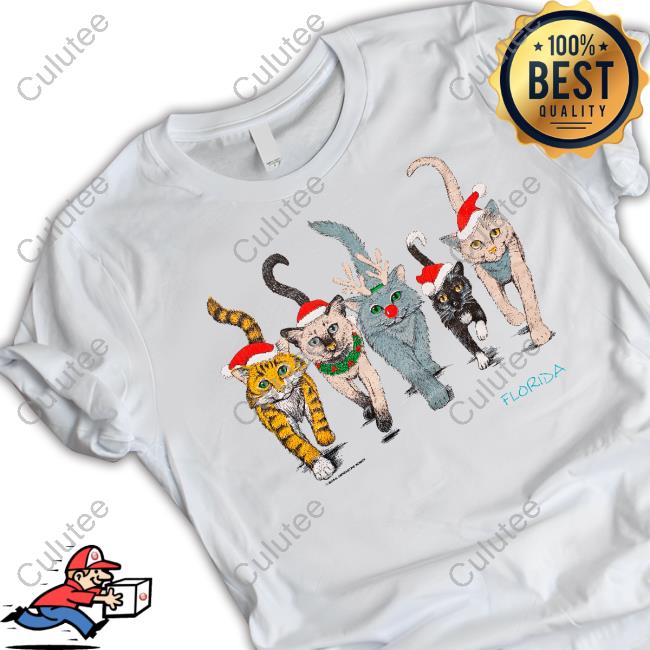 Taylor Swift 90S Florida Christmas Cats Hoodie