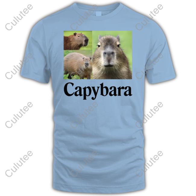 At The Moment Capybara Sweatshirt