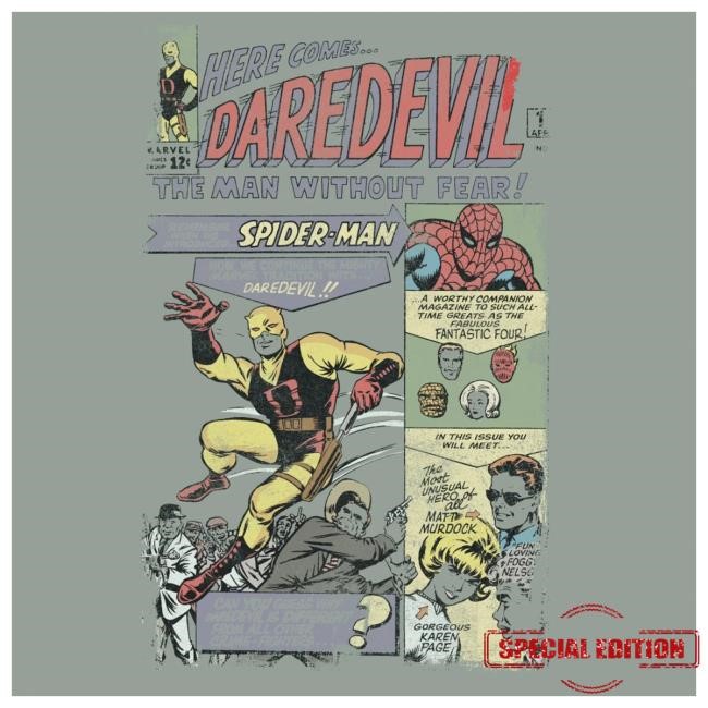 Official Heroes And Villains Forge Series Marvel Daredevil Comic Zine Tshirt