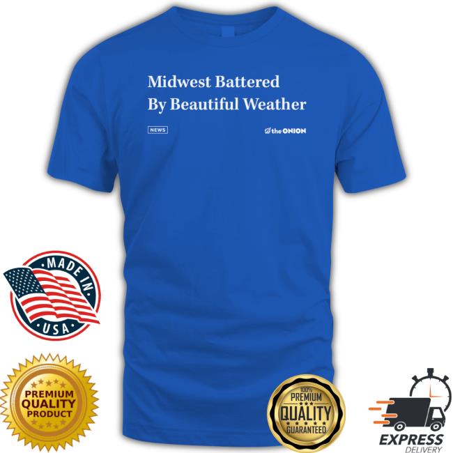 Official Raygun Merch The Onion Beautiful Weather Shirt