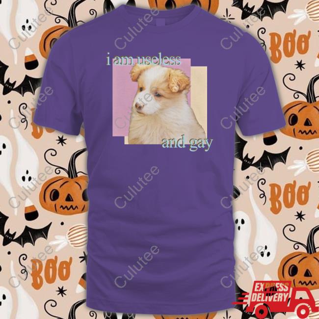 Official I Am Useless And Gay Shirt