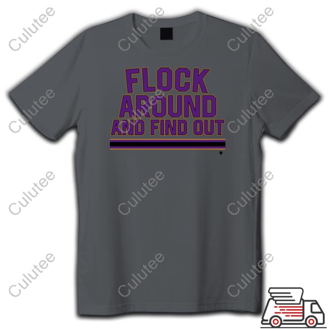 Flock Around And Find Out Hooded Sweatshirt