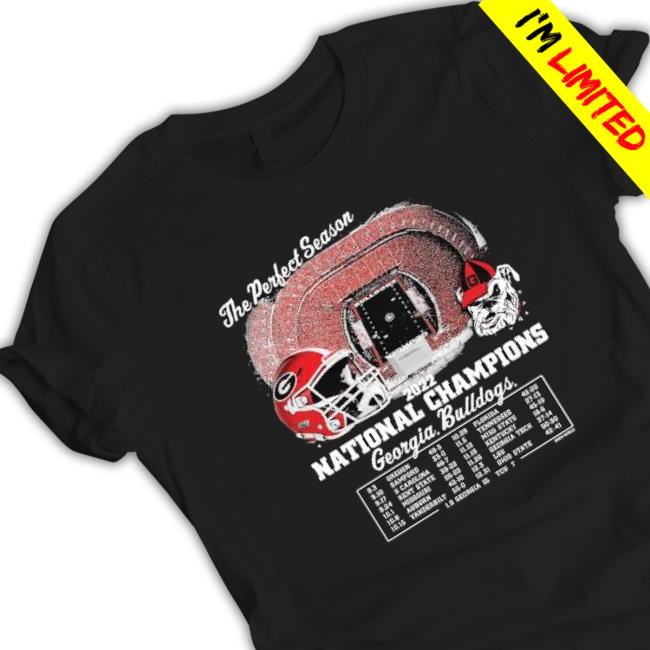Georgia Bulldogs The Perfect Season 2022 National Champions Hoodie