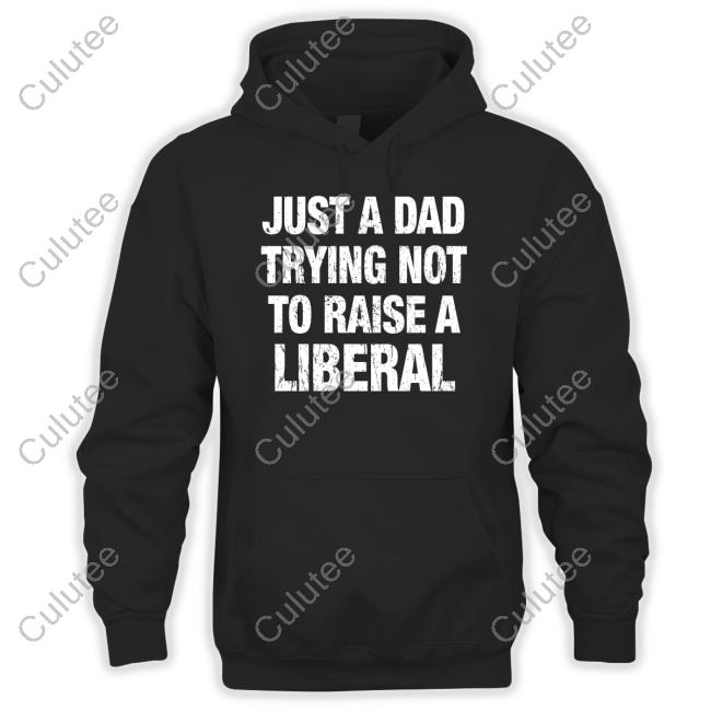 Printed Kicks Merch Zeek Arkham Just A Dad Trying Not To Raise A Liberal Hoodie