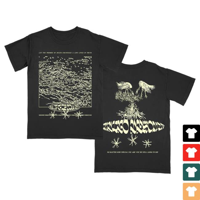 Official Hello Merch Store Indigo De Souza Truth Black T Shirt Hellomerch