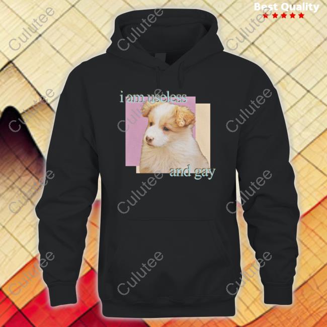 Official Shirts That Go Hard I Am Useless And Gay T-Shirt