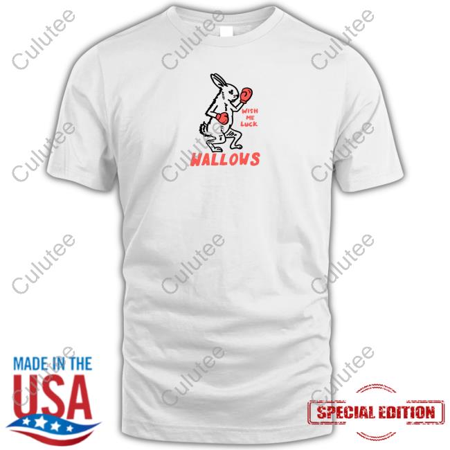Wallows Wish Me Luck Tee