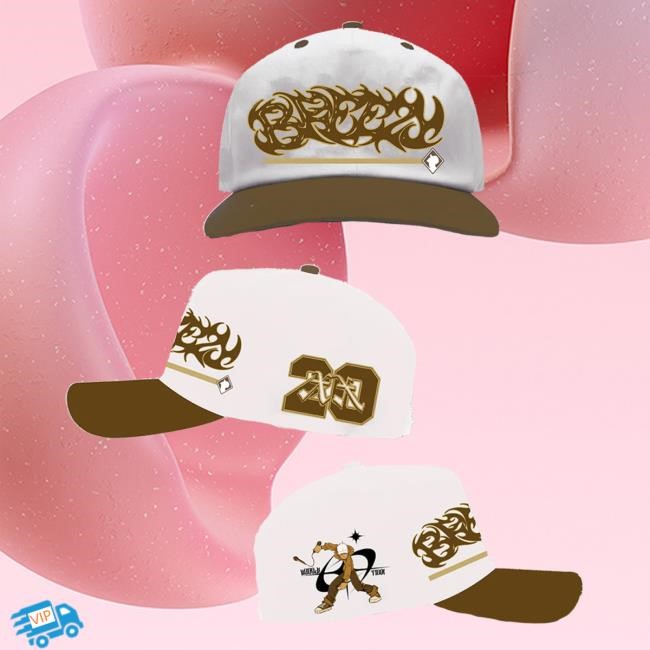 Chris Brown Breezy Baseball Hat - Brown Hat