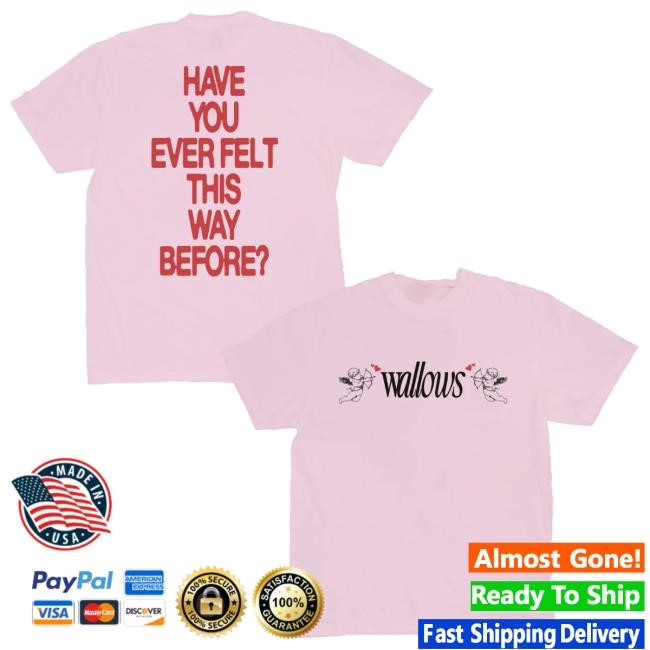 Streetwear Vibe Wallows Angel Tee Blossom Top