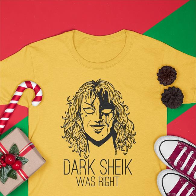 Dark Sheik Was Right Hoodie Sheikah