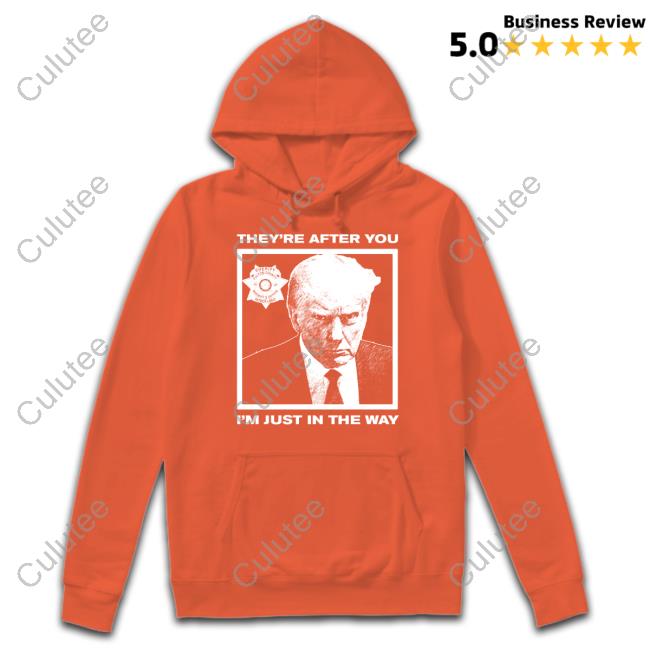They're After You I'm Just In The Way Hoodie