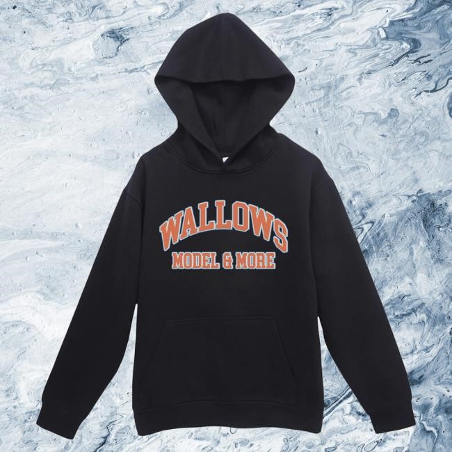 Official Wallows Collegiate Hoodies – May-June 2025