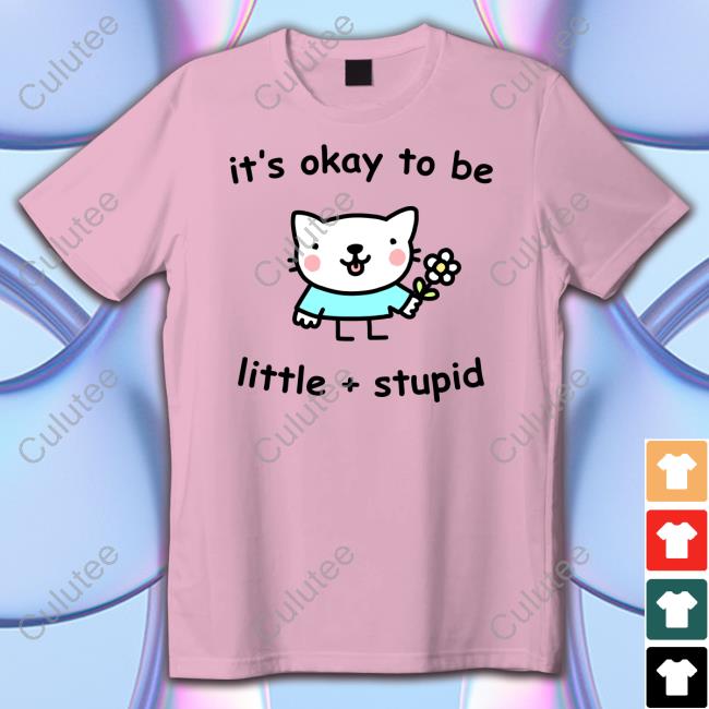 Stinky Katie Merch It's Okay To Be Little And Stupid Shirt