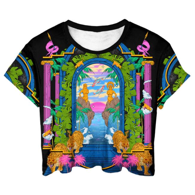 Official Vapor95 Clothing Store Vapor 95 Rite Of Passage Crop Top T Shirt