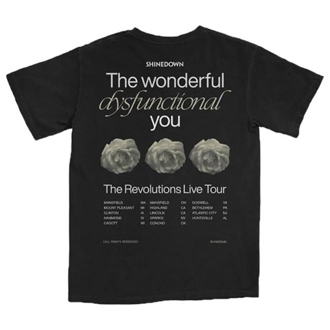 Shinedown Wonderful Summer 2024 Tour Shirts Shinedown Merch Store Shop Official