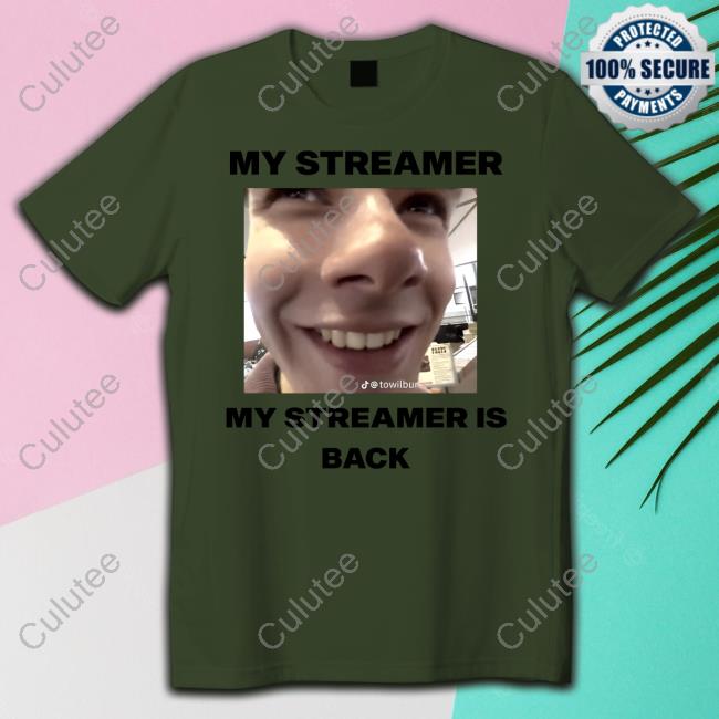 Official My Streamer My Streamer Is Back Hoodie