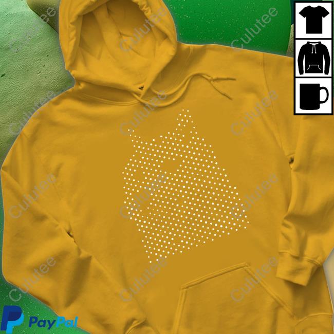 Doge Drone Shirt Dogecoins Wag