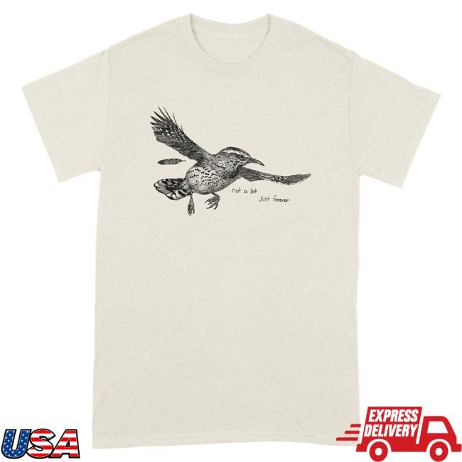Not A Lot Just Forever Tee Big Thief